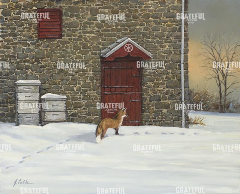 Out Foxed