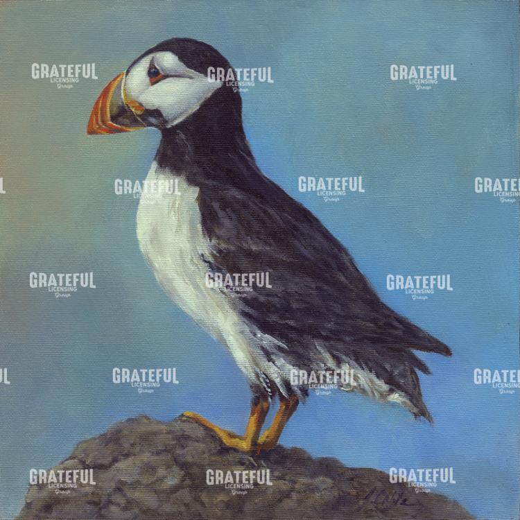 parrot of the sea