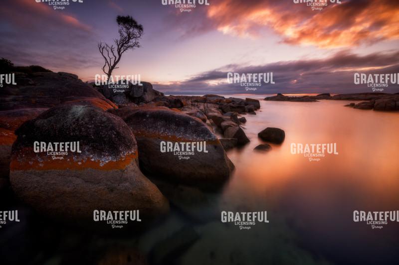 Bay of fires