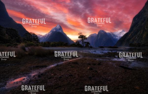 Milford Sound 2