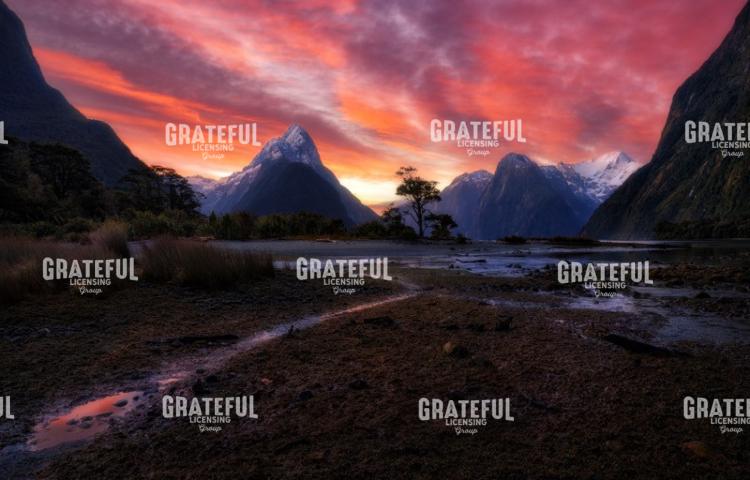Milford Sound 2