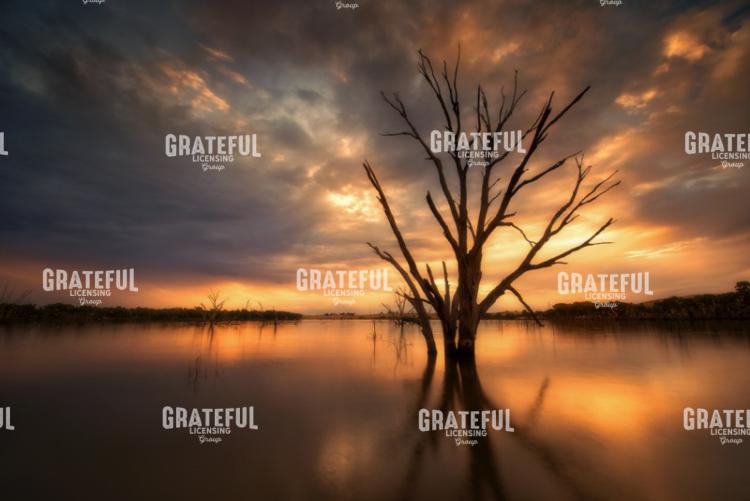 Mt Ida Creek 4
