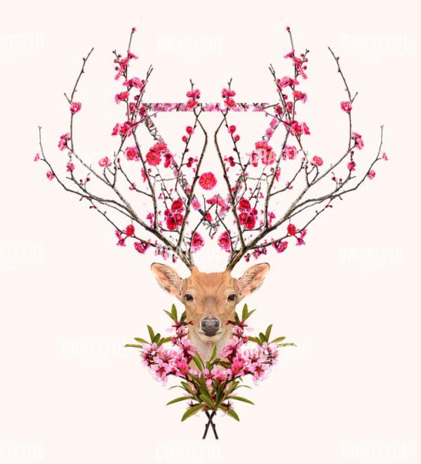 Spring Deer