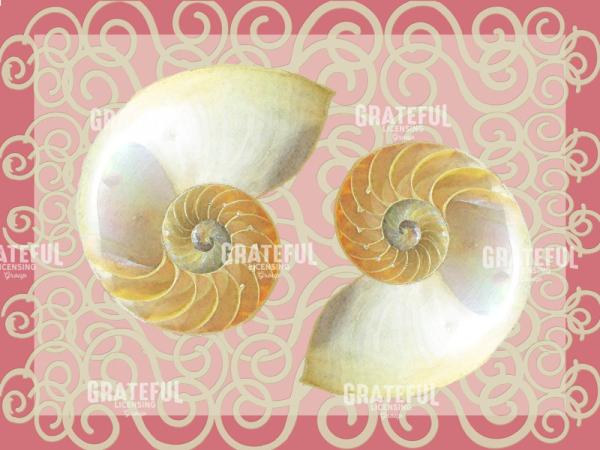 nautilus two