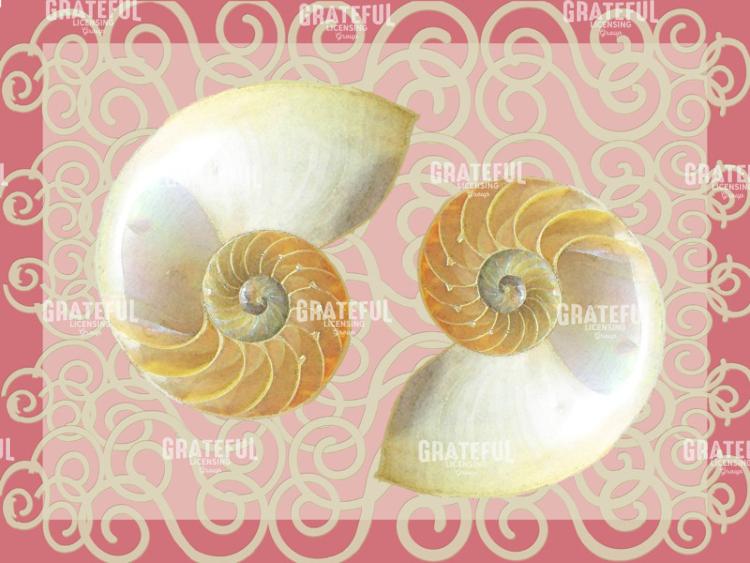 nautilus two