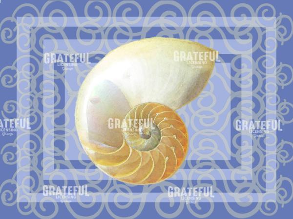 nautilus one