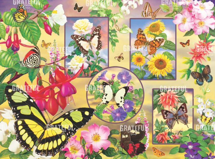 Butterfly Magic