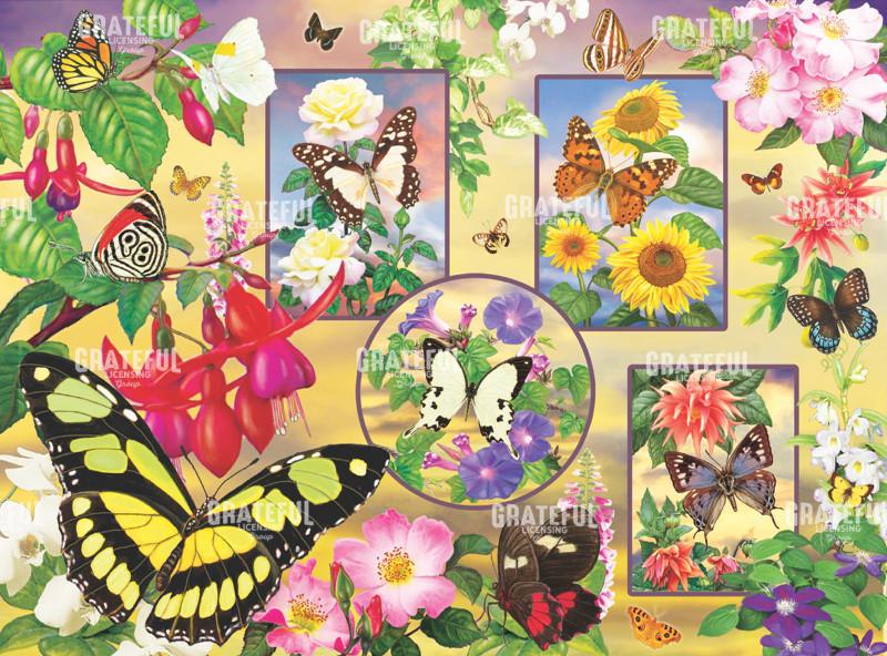 Butterfly Magic