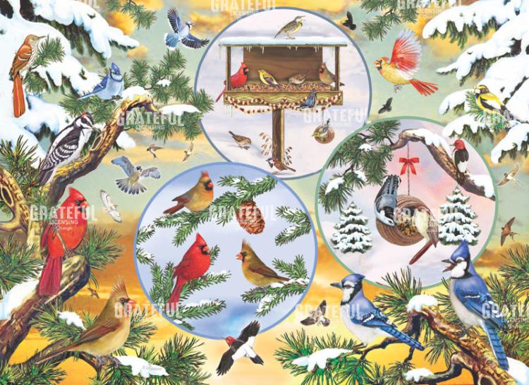 winter bird magic