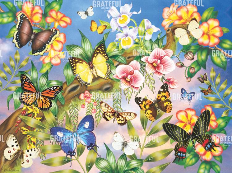 Southeast Asian Butterflies