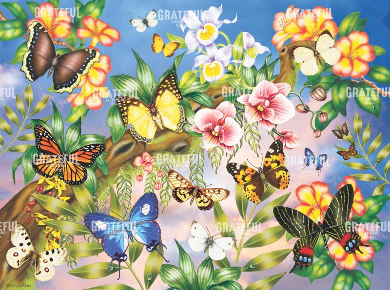 Southeast Asian Butterflies