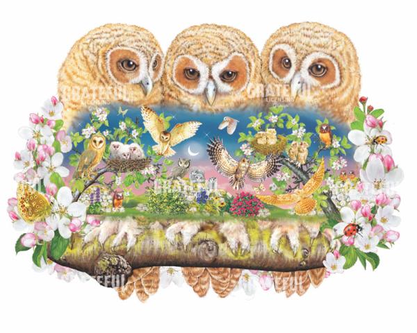 Owlets In The Moonlight