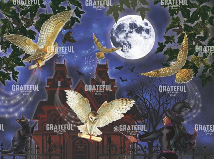 Halloween Owl Express
