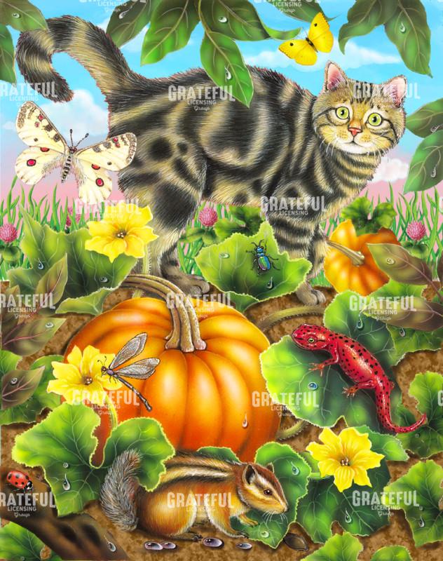 Fuzzy in the Pumpkin Patch