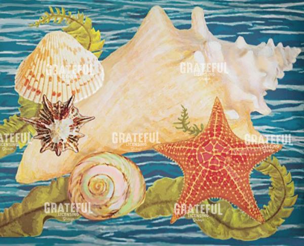 conch starfish and cockle