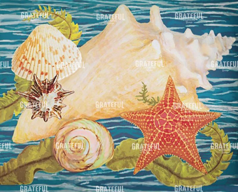 conch starfish and cockle