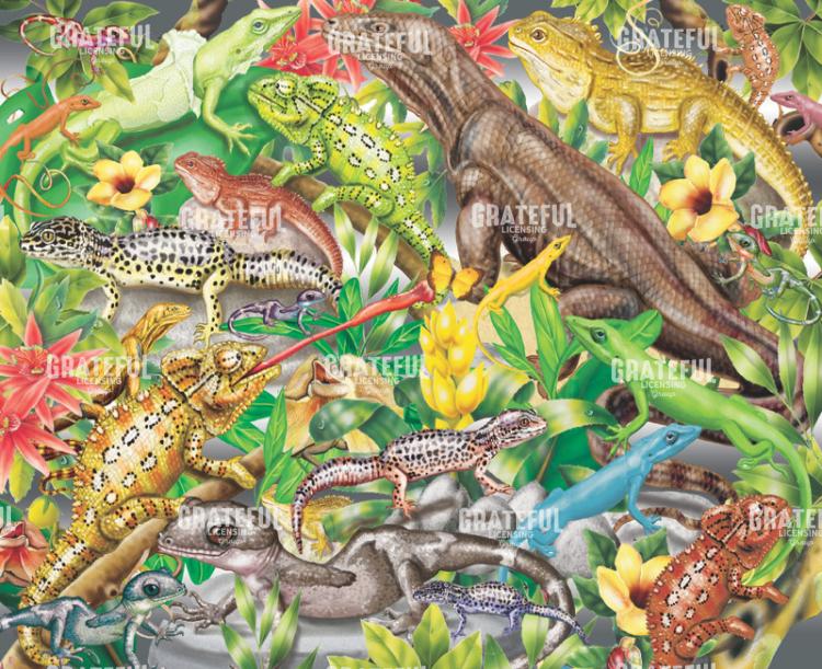 Lizard Jungle