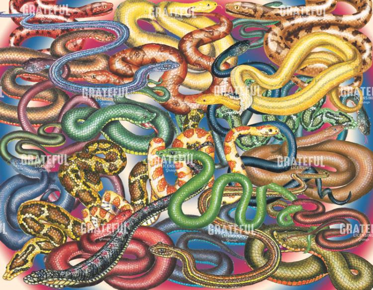 snakes