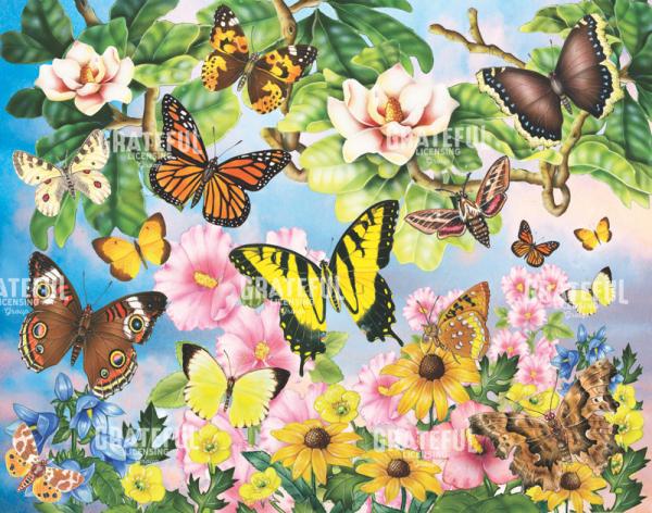 North American butterflies