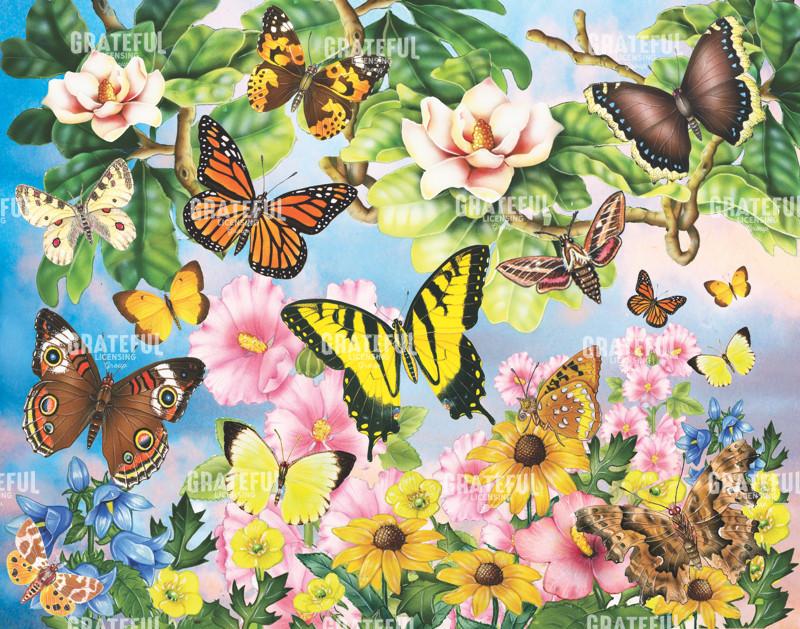 North American butterflies