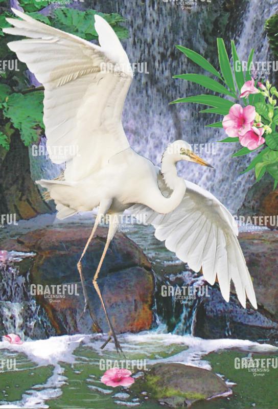 egret at waterfall