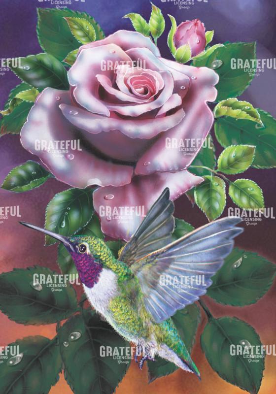 hummingbird and rose