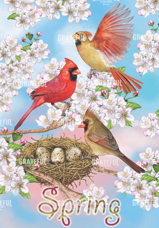 spring cardinals