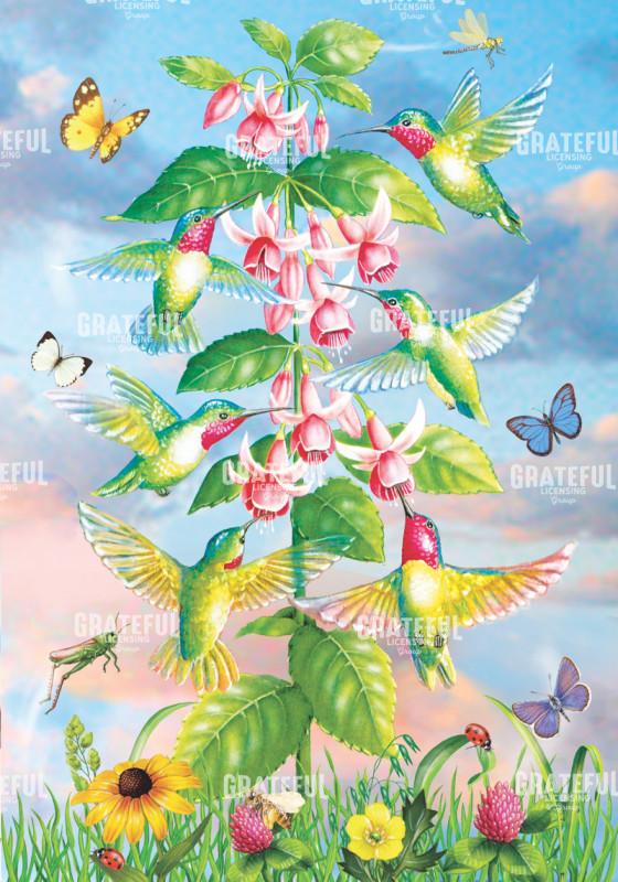 Hummingbirds Summer Dance