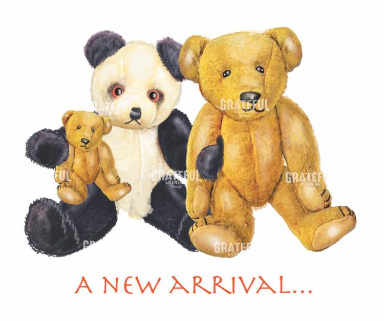 A new arrival bears