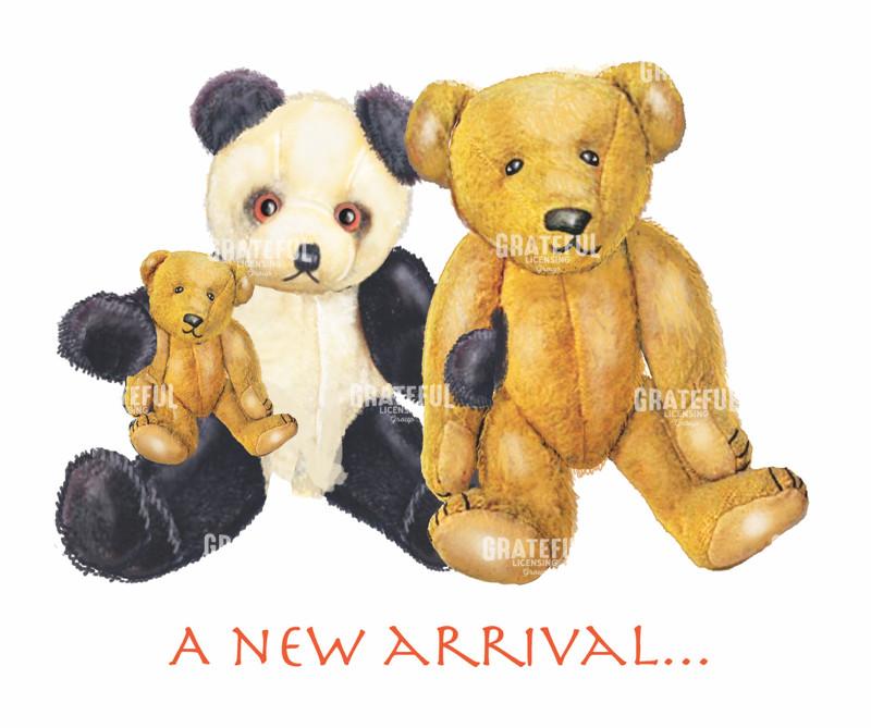 A new arrival bears