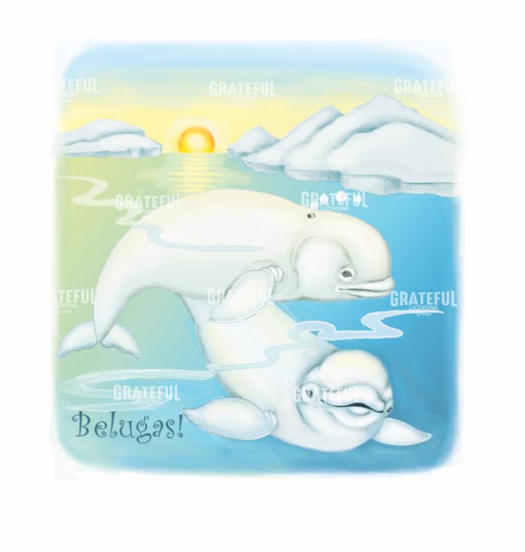 Beluga Whales