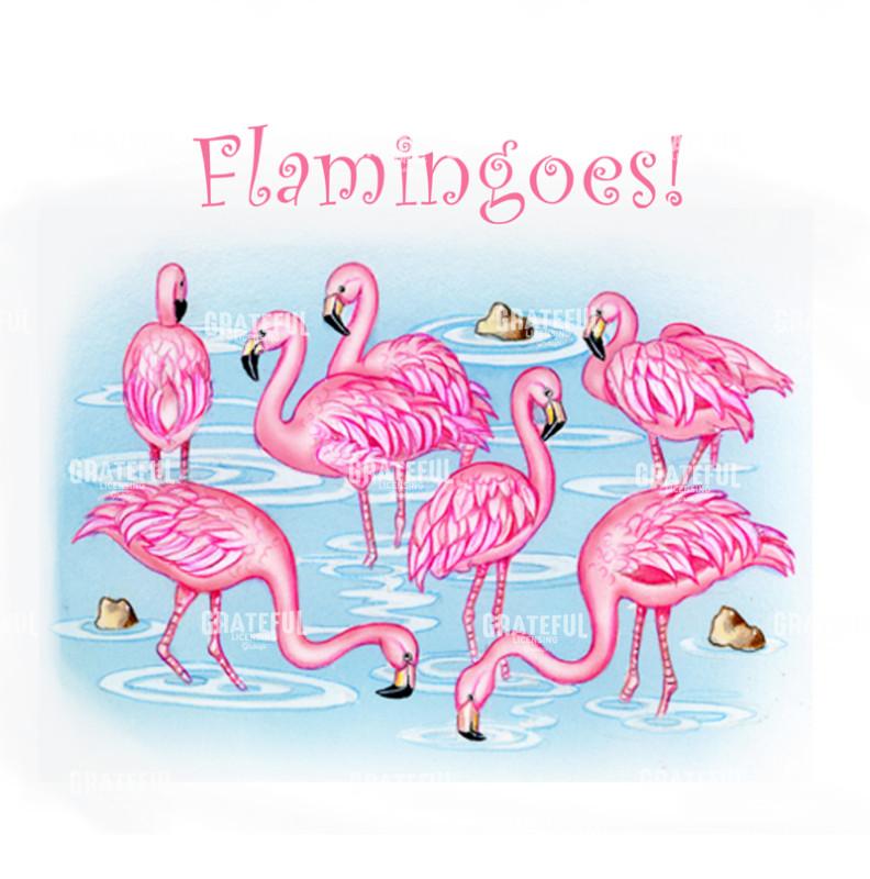 Flamingoes