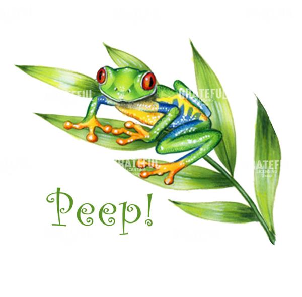 Tree Frog Peep