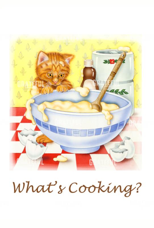 What's Cooking 2