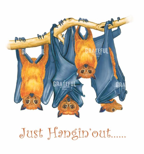 Just Hanging Out Bats