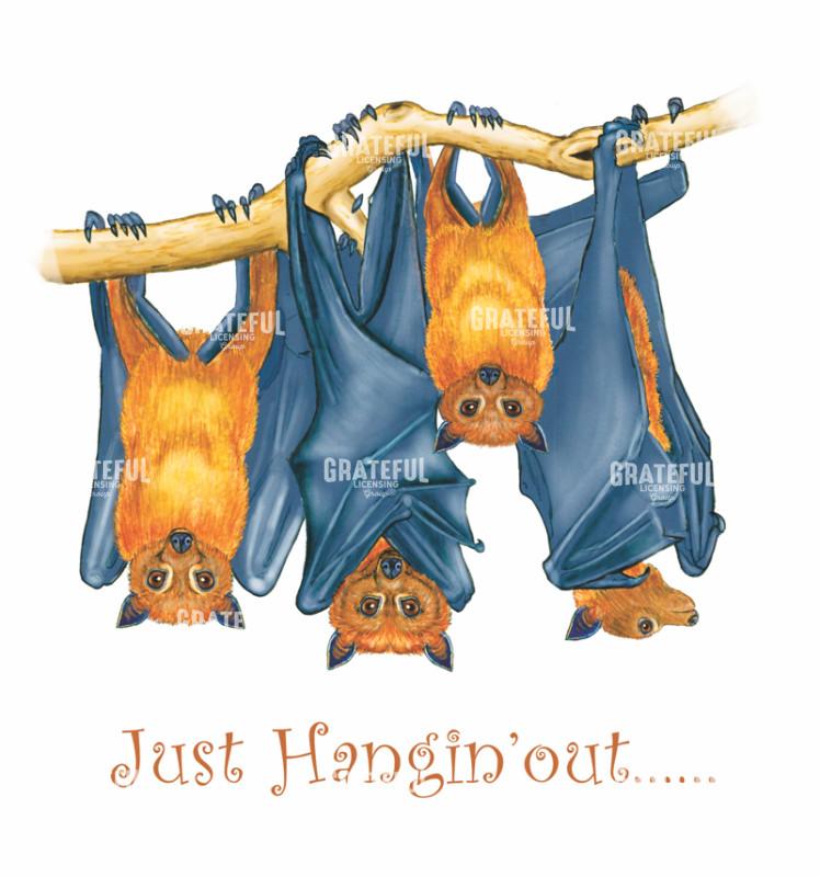 Just Hanging Out Bats
