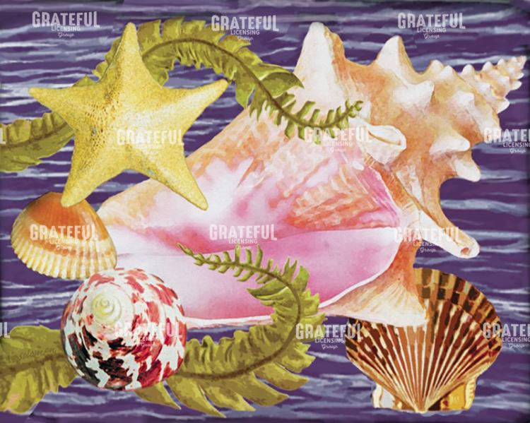 Conch and Starfish