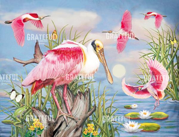 Rosete Spoonbill