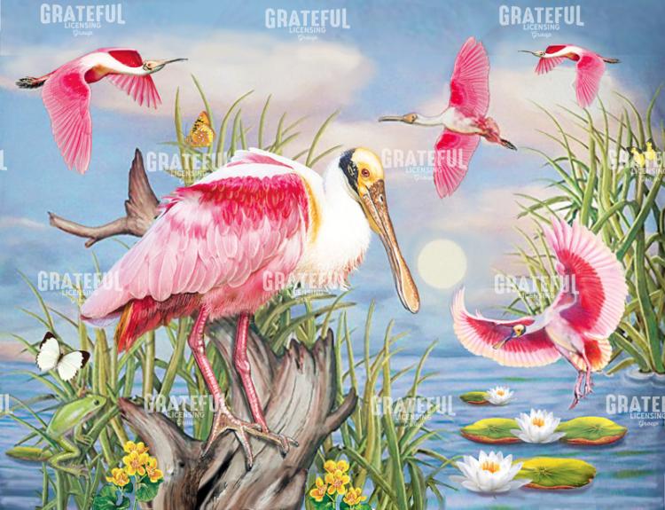 Rosete Spoonbill