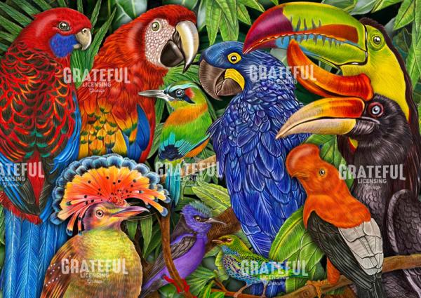 Tropical Birds Collage