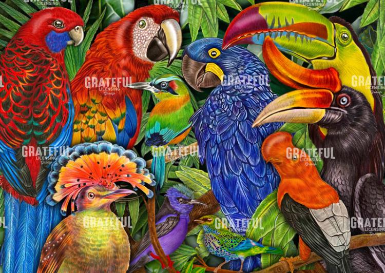 Tropical Birds Collage