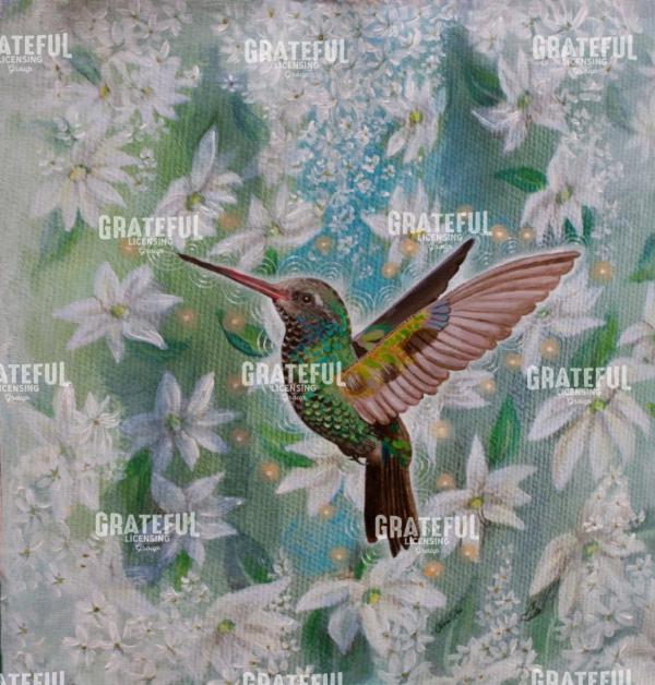 Song of the Hummingbird