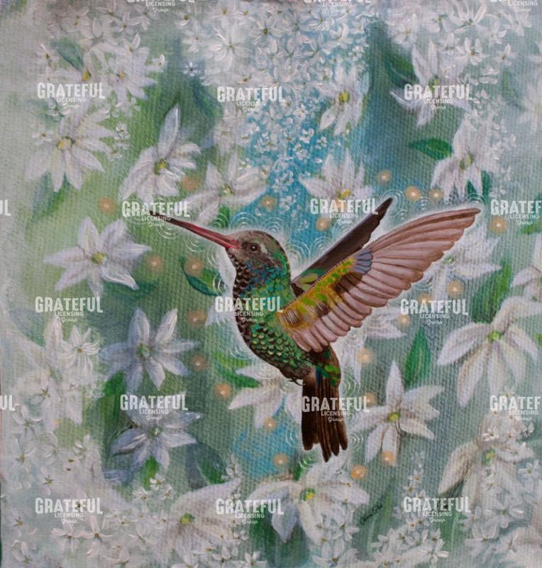 Song of the Hummingbird