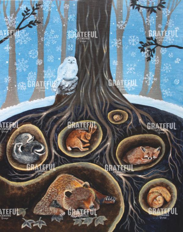 Hibernation