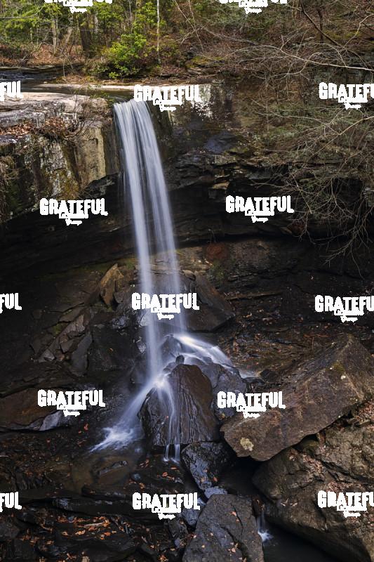 Laurel Fall - Savage Gulf