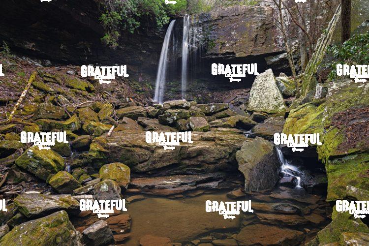 Suter Falls