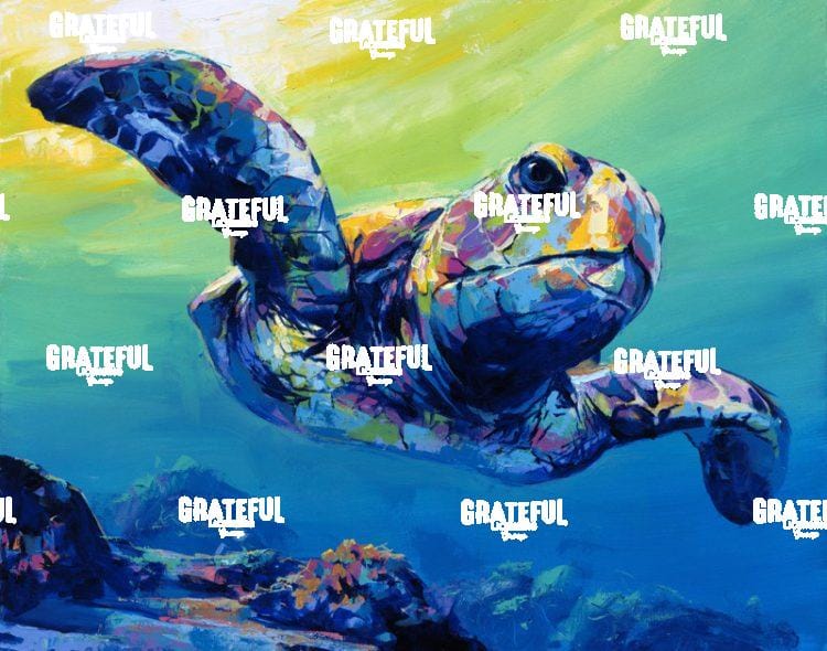 Sea Turtle