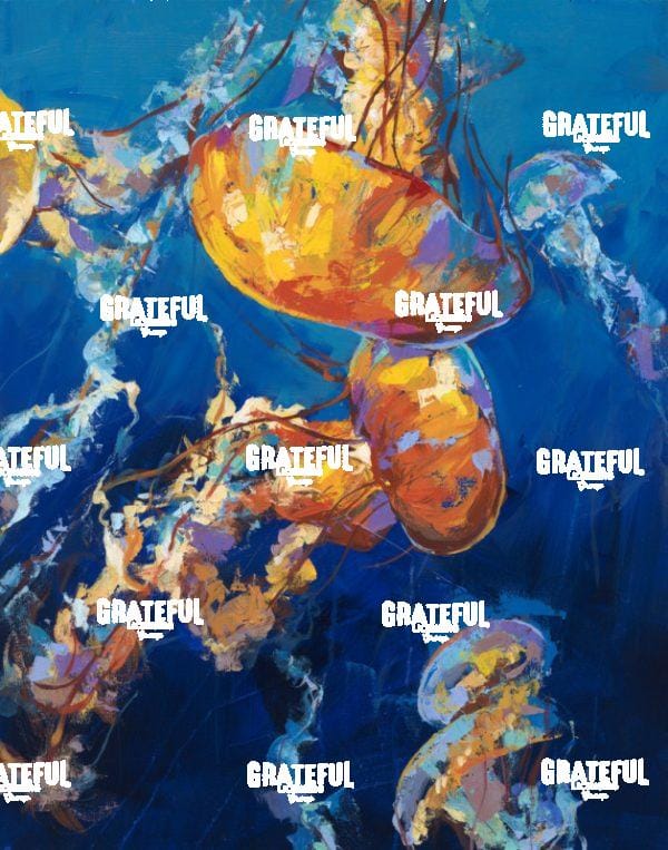 Jellyfish