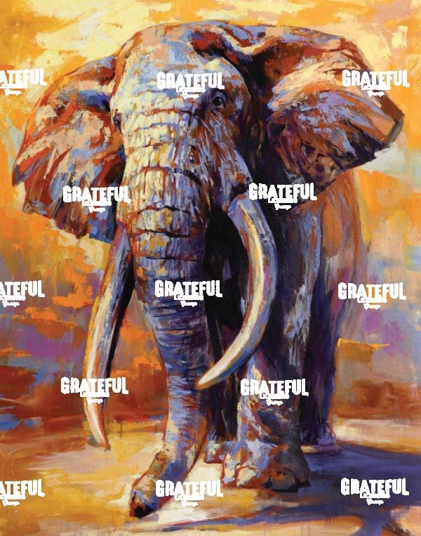 Traveler