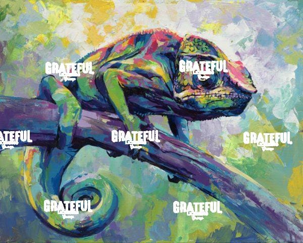 Chameleon